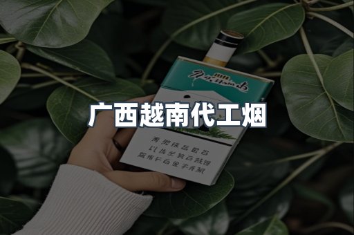 广西越南代工烟